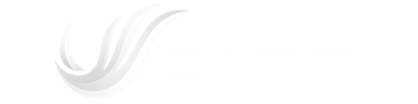 Rise AI